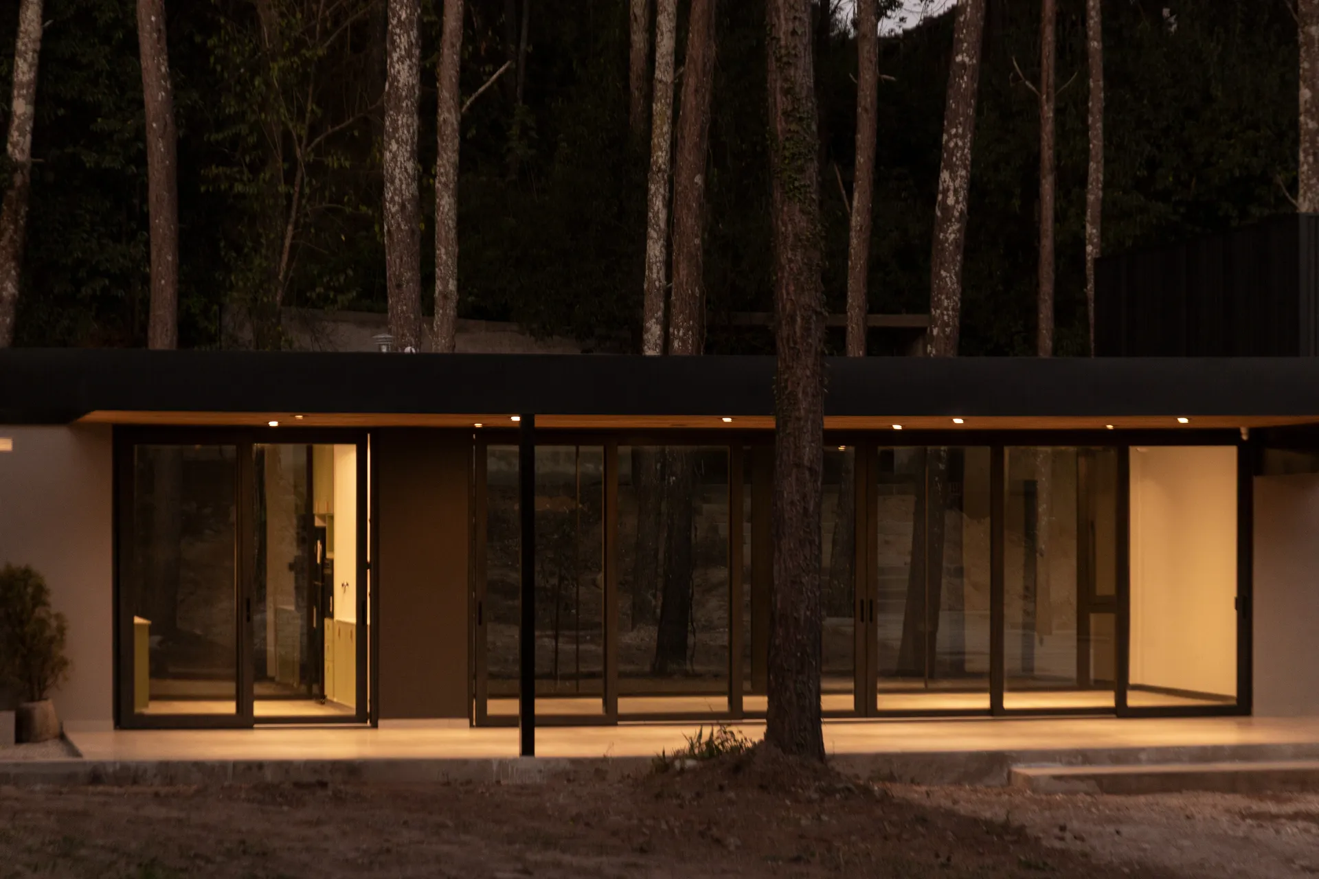 Casa Entre Arboles 5