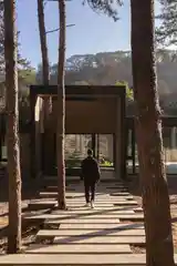 Casa Entre Arboles miniatura 8