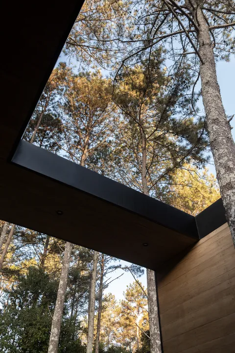 Casa Entre Arboles - imagen 11