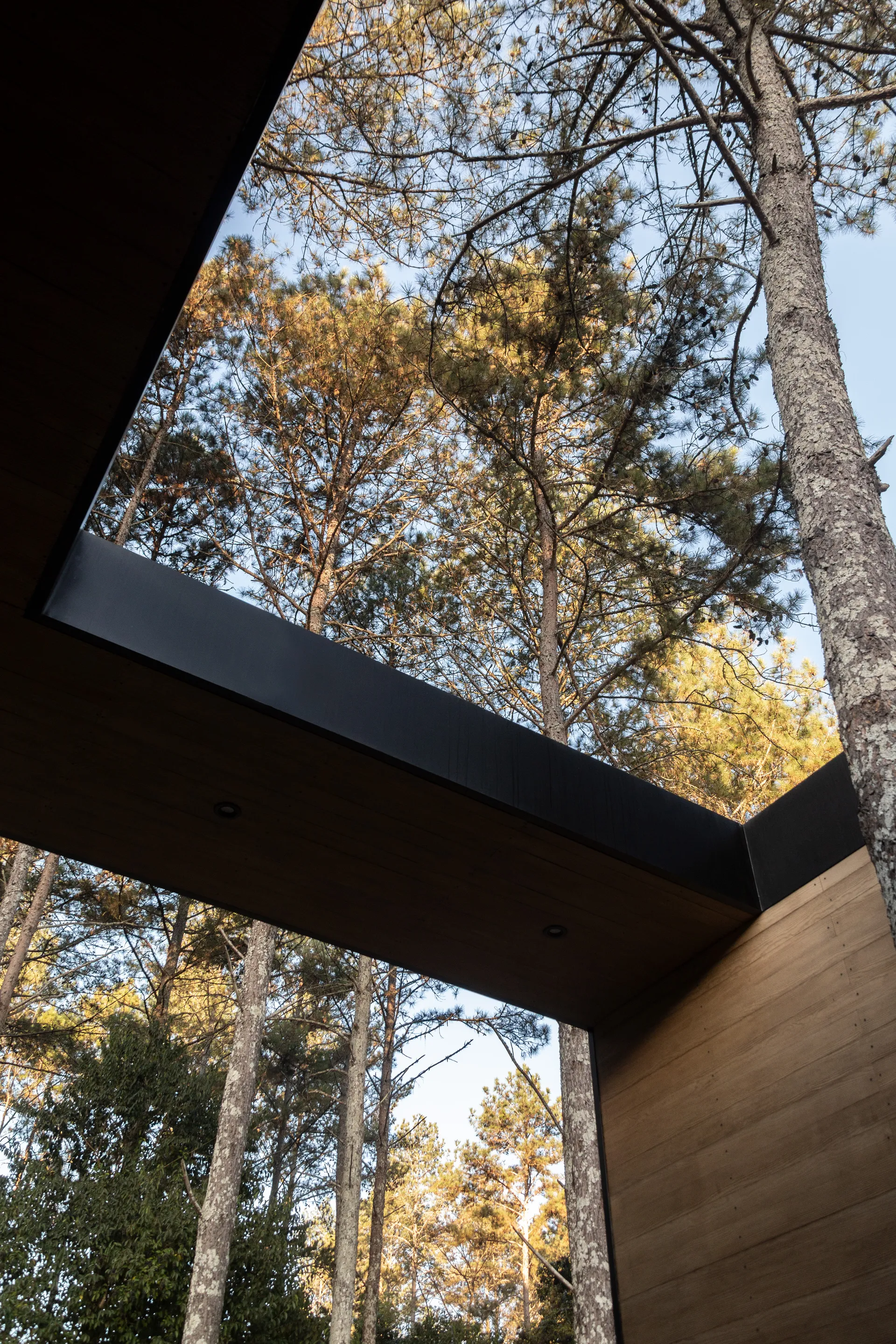 Casa Entre Arboles 11