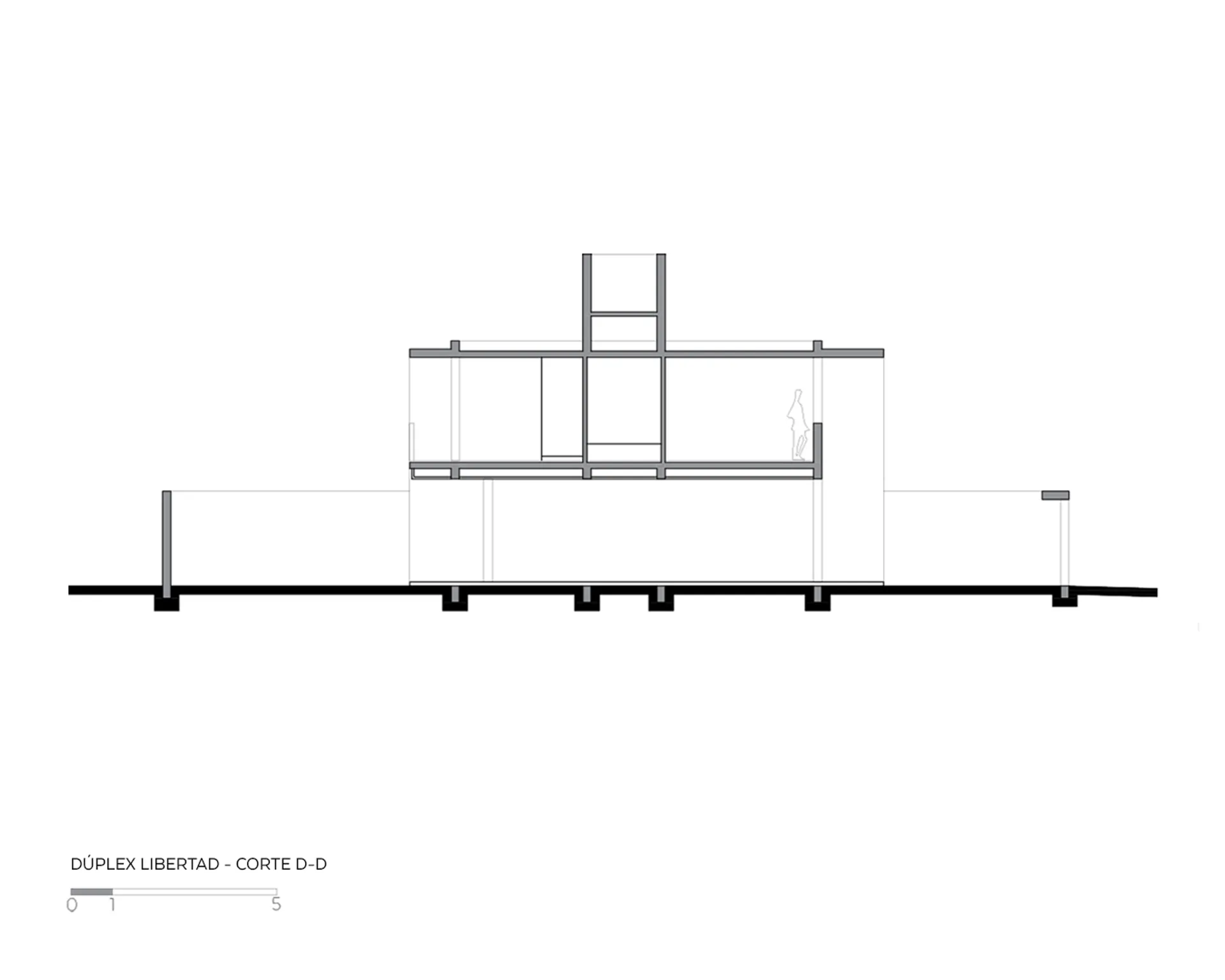 Duplex Libertad 12